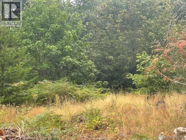 Photo 5 of 3570 Carriere Rd, Port Alberni BC