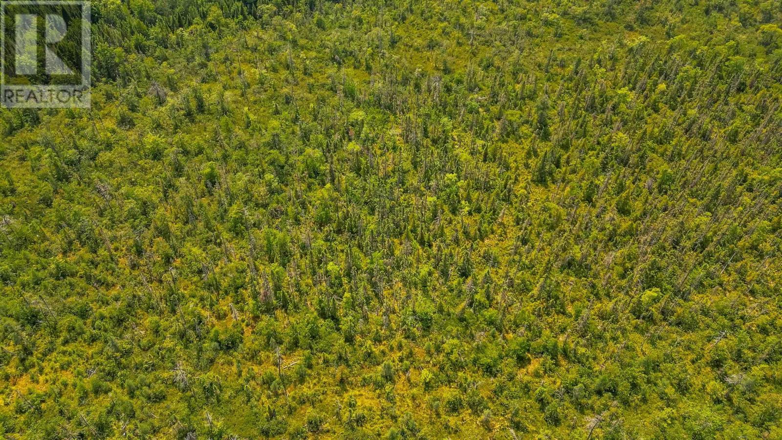 Property 3 of 12 of 8 Red Shirt Road Road