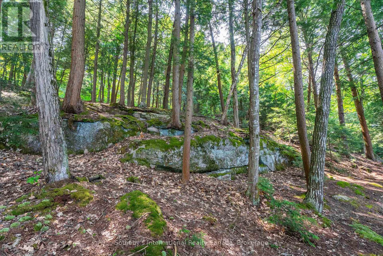 Photo 10 of Lot C 364 Stanley House Road, Seguin ON