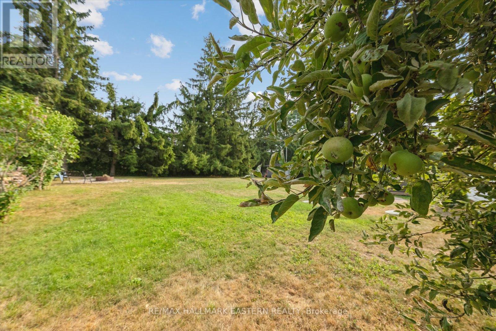Photo 22 of 971 Jopling Drive, Selwyn ON