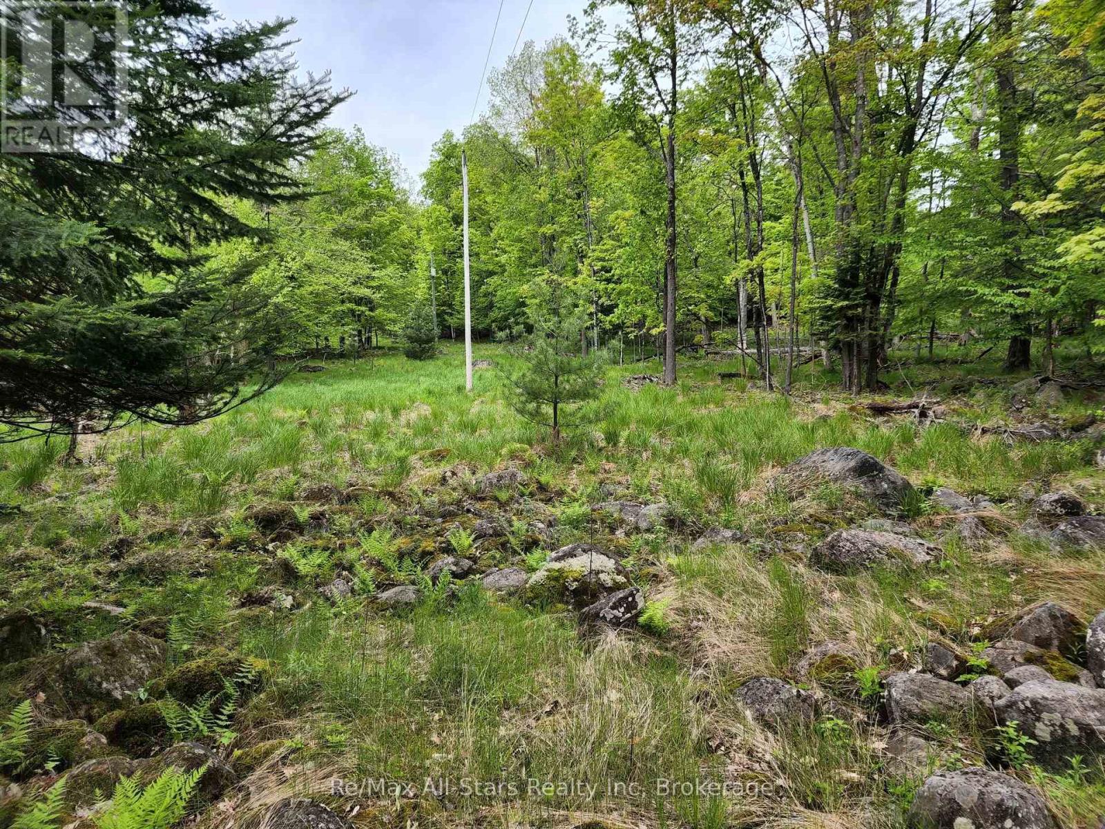 Photo 26 of 504 Bigwin Island, Lake Of Bays ON