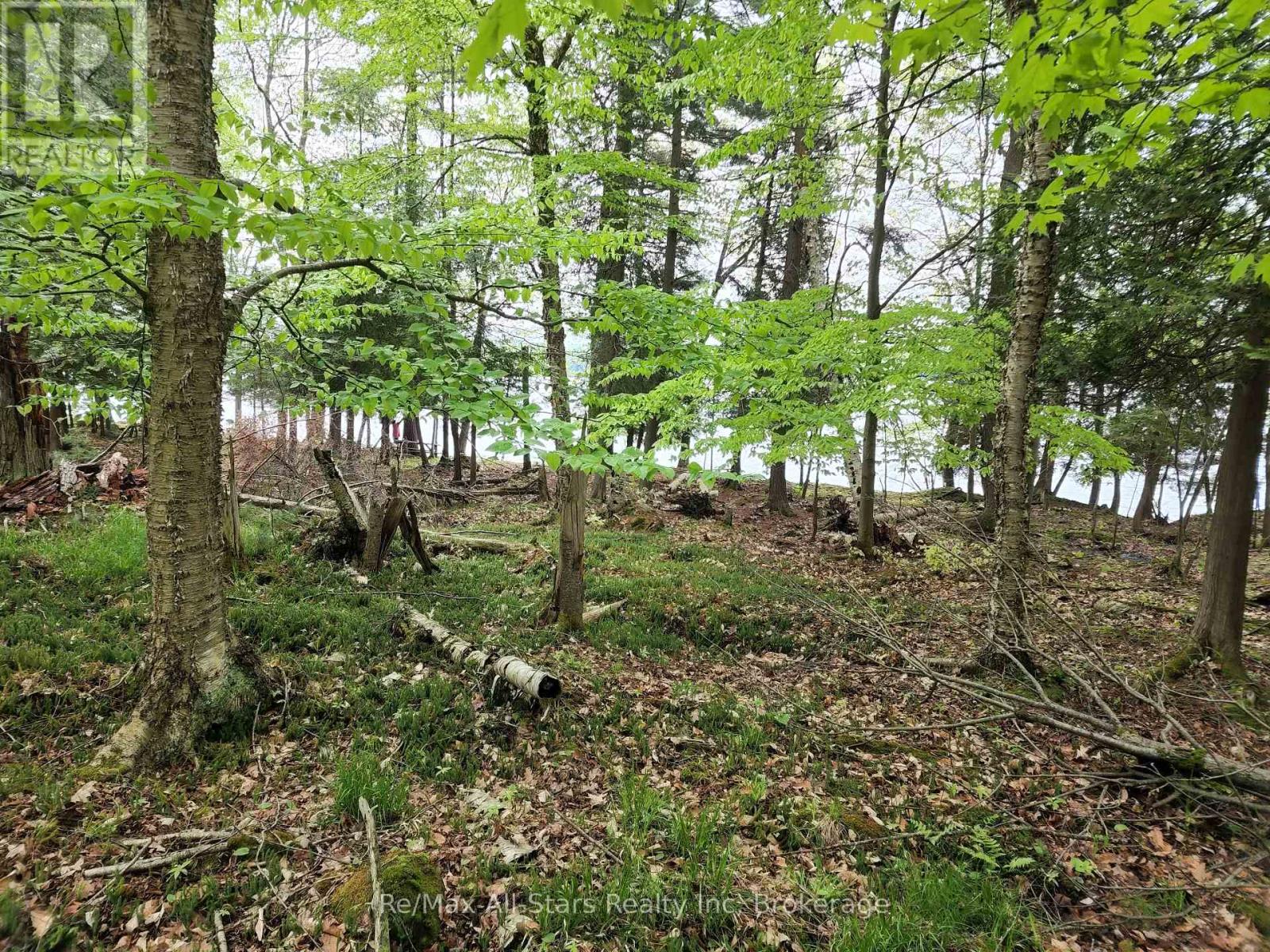 Photo 18 of 504 Bigwin Island, Lake Of Bays ON