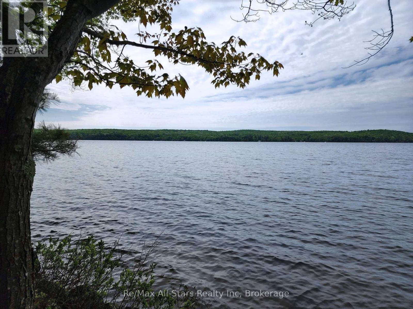 Photo 16 of 504 Bigwin Island, Lake Of Bays ON
