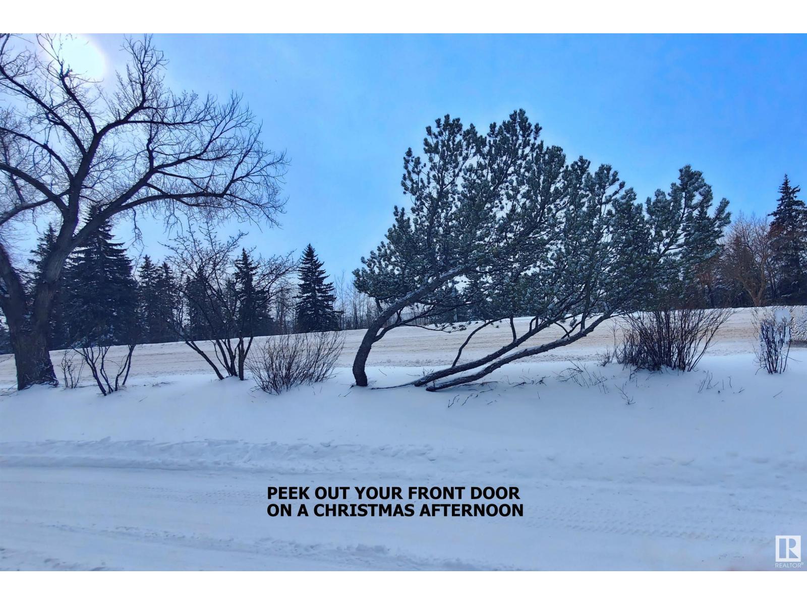 Photo 7 of 8307 Saskatchewan Dr Nw, Edmonton AB