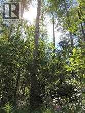 Photo 12 of Lot 20 Wapiti River Sw 21 69 10 W 6, Rural Grande Prairie No 1 County Of AB