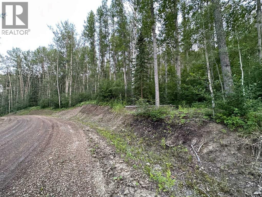 Photo 16 of 14 Wapiti River, Rural Grande Prairie No 1 County Of AB