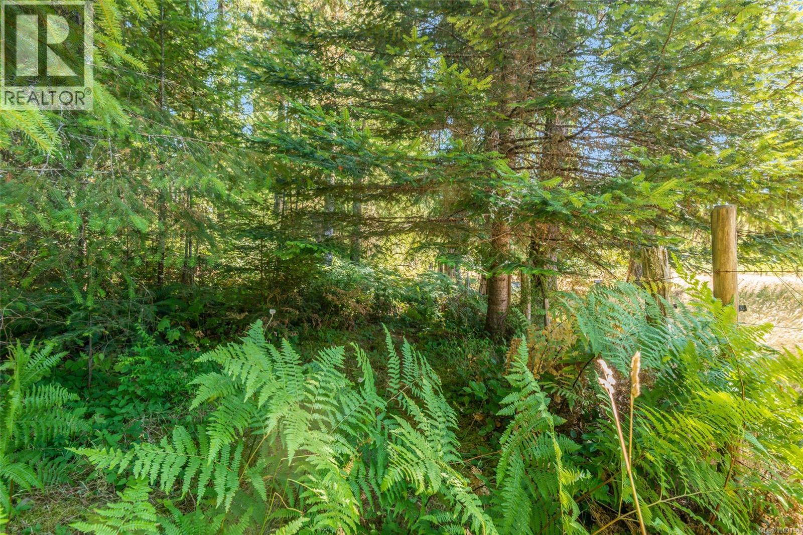 6012 Wadena Rd, Port Alberni