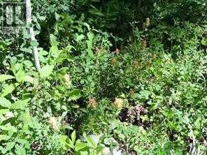 Photo 15 of Lot 11 Wapiti River Sw 21 69 10 W 6, Rural Grande Prairie No 1 County Of AB