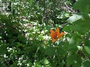 Photo 10 of Lot 11 Wapiti River Sw 21 69 10 W 6, Rural Grande Prairie No 1 County Of AB
