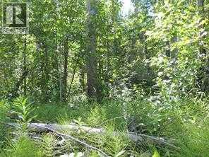 Photo 7 of Lot 11 Wapiti River Sw 21 69 10 W 6, Rural Grande Prairie No 1 County Of AB