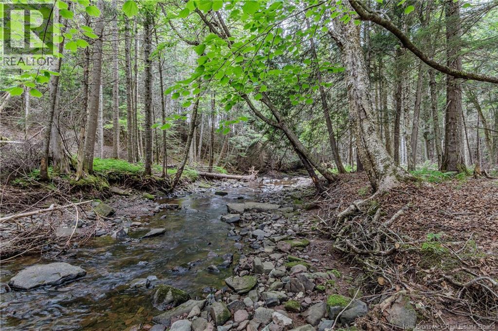 Photo 37 of 70 Bonney Road, Nauwigewauk NB