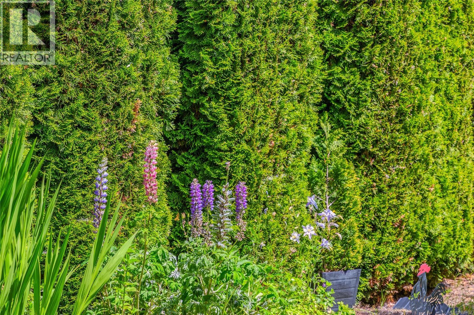 Photo 68 of 6345 Savary St, Nanaimo BC