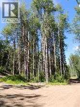 Photo 8 of Lot 7 Wapiti River Sw 21 69 10 W 6, Rural Grande Prairie No 1 County Of AB