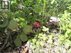 Photo 6 of Lot 7 Wapiti River Sw 21 69 10 W 6, Rural Grande Prairie No 1 County Of AB