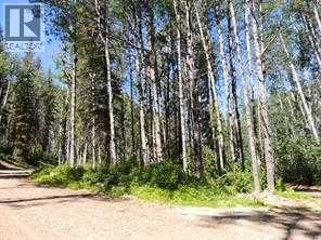 Photo 1 of Lot 7 Wapiti River Sw 21 69 10 W 6, Rural Grande Prairie No 1 County Of AB