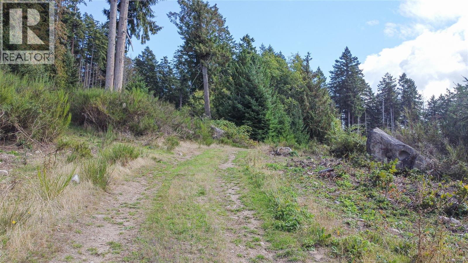 415 Campbell Bay Rd - 25