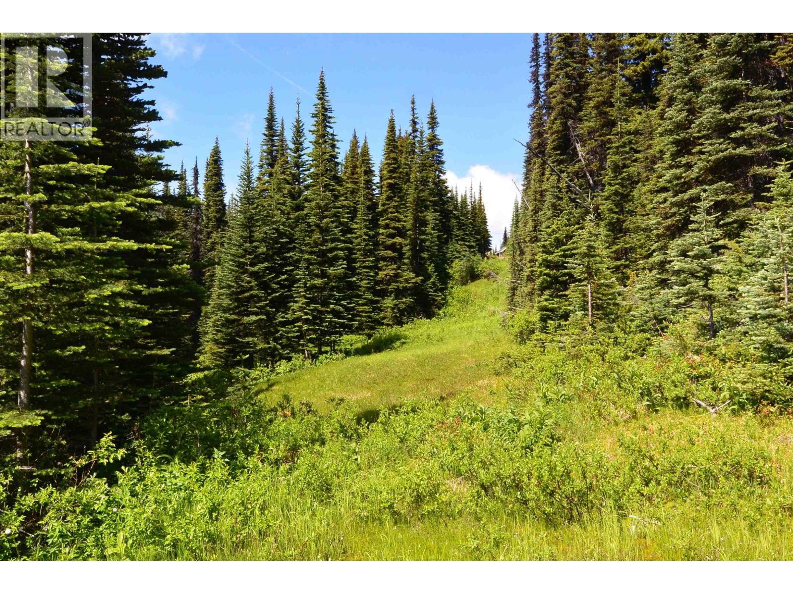 144 PRAIRIE ROAD, Smithers