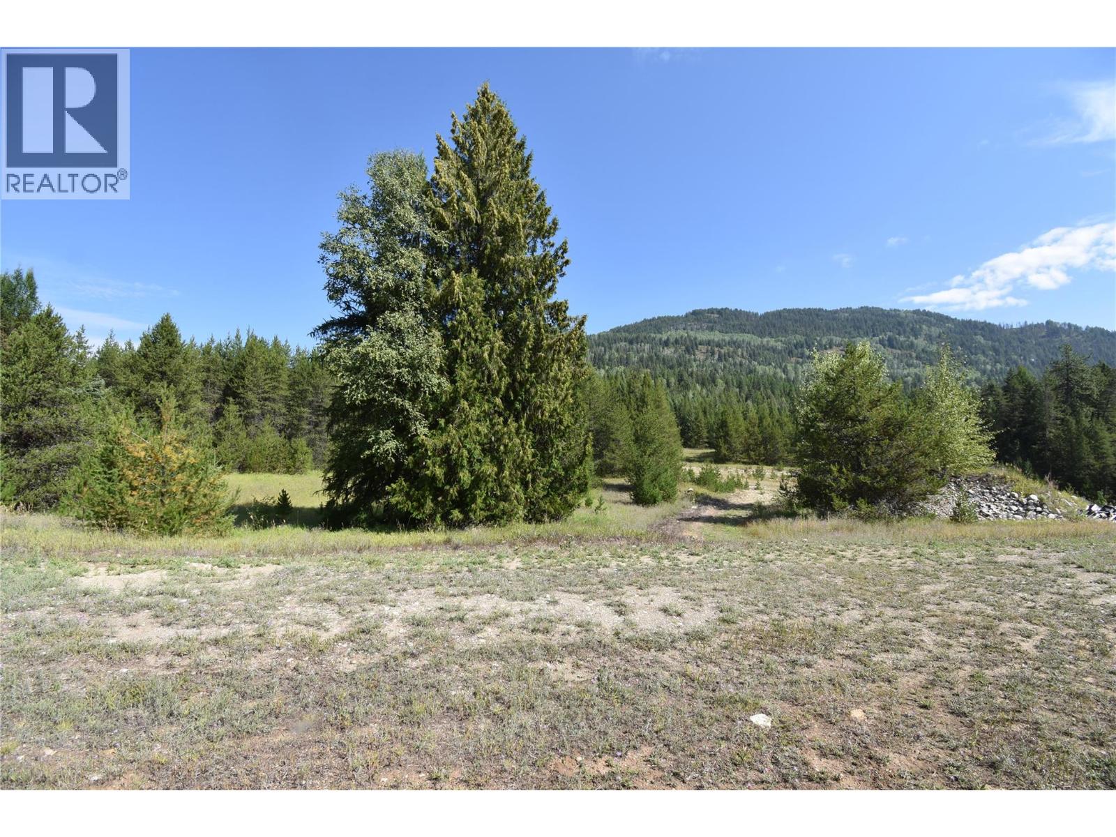 4125 ROSS SPUR ROAD - 10