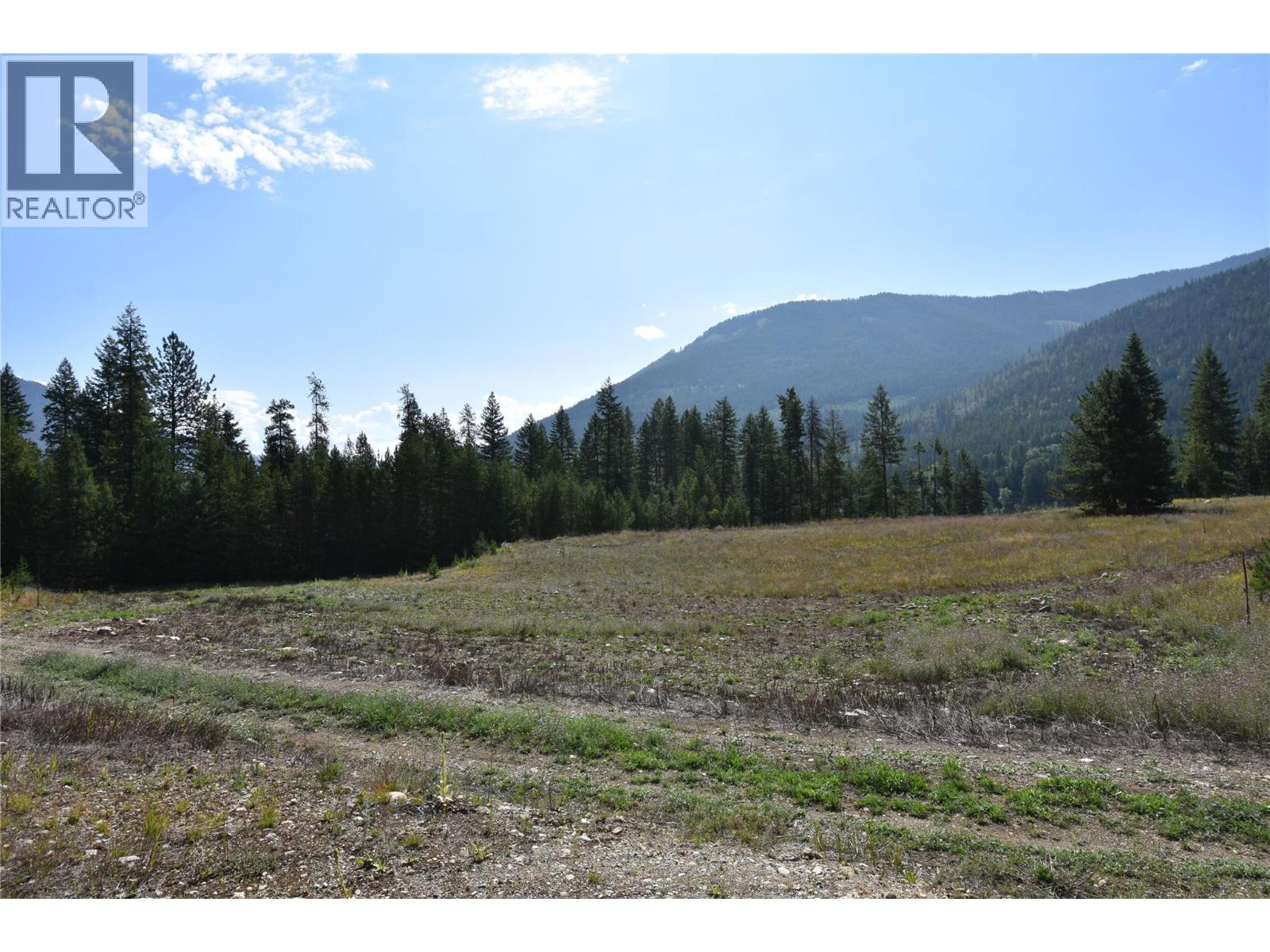 4125 ROSS SPUR ROAD - 6