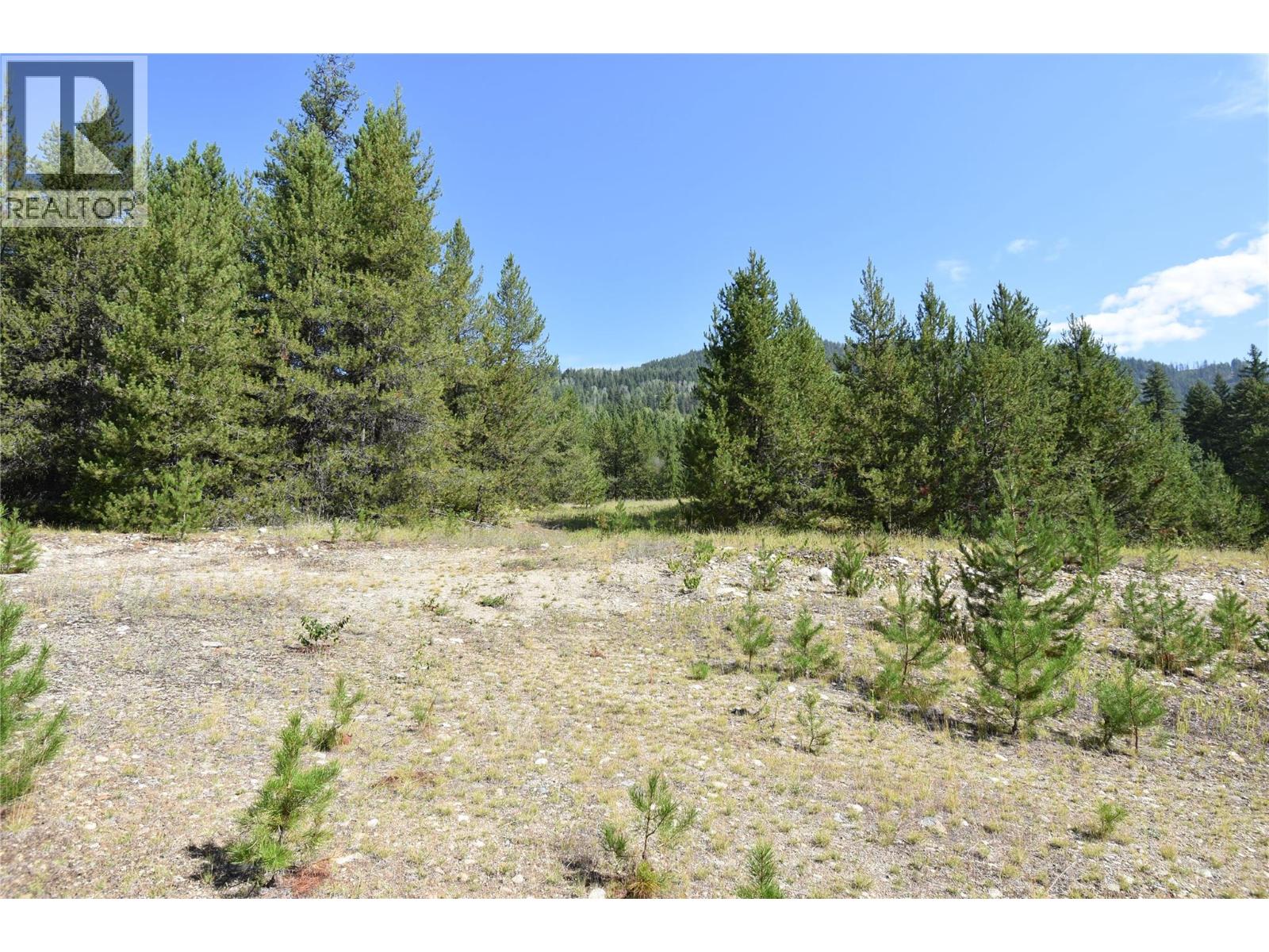 4125 ROSS SPUR ROAD - 7