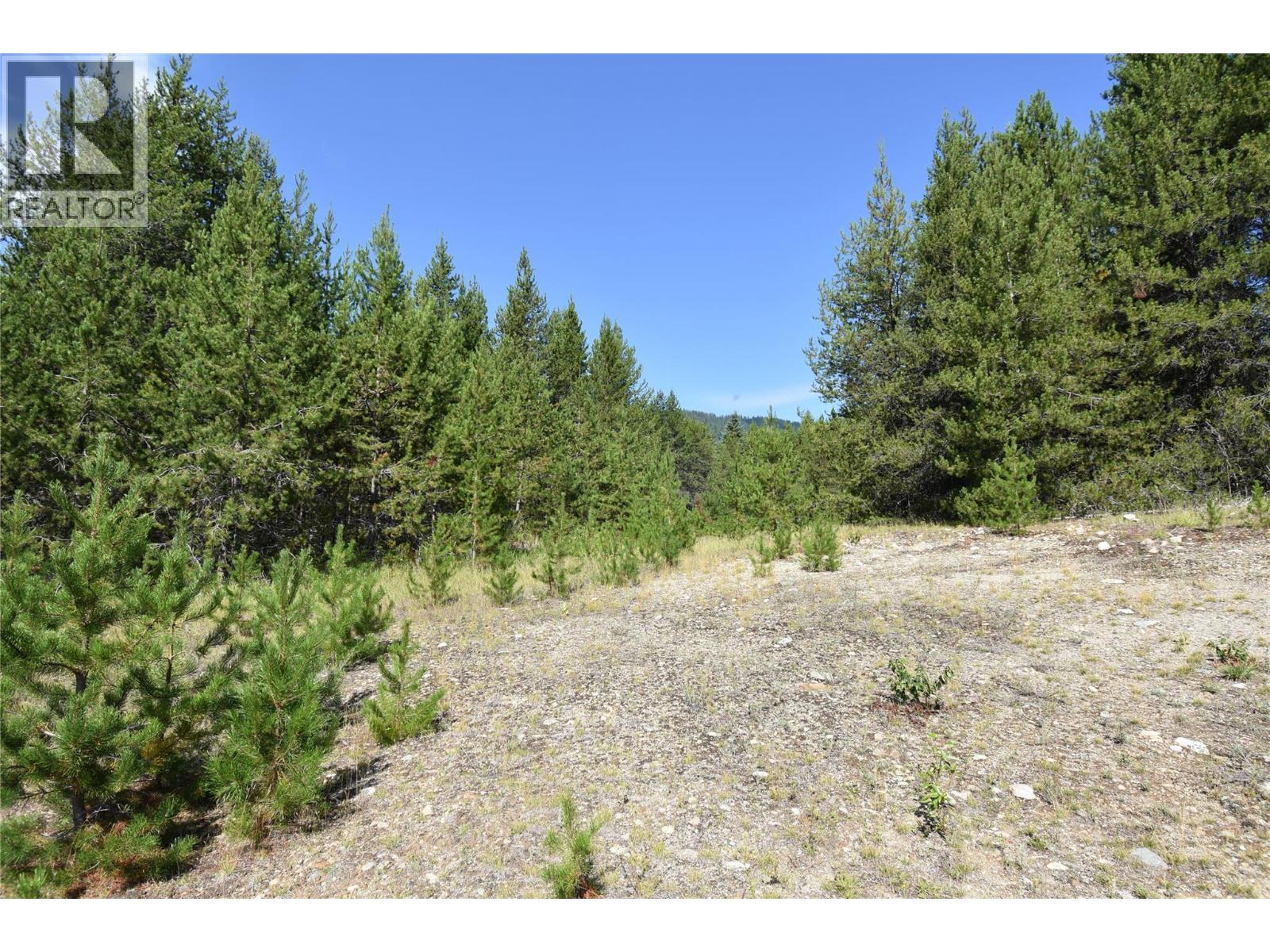 4125 ROSS SPUR ROAD - 8