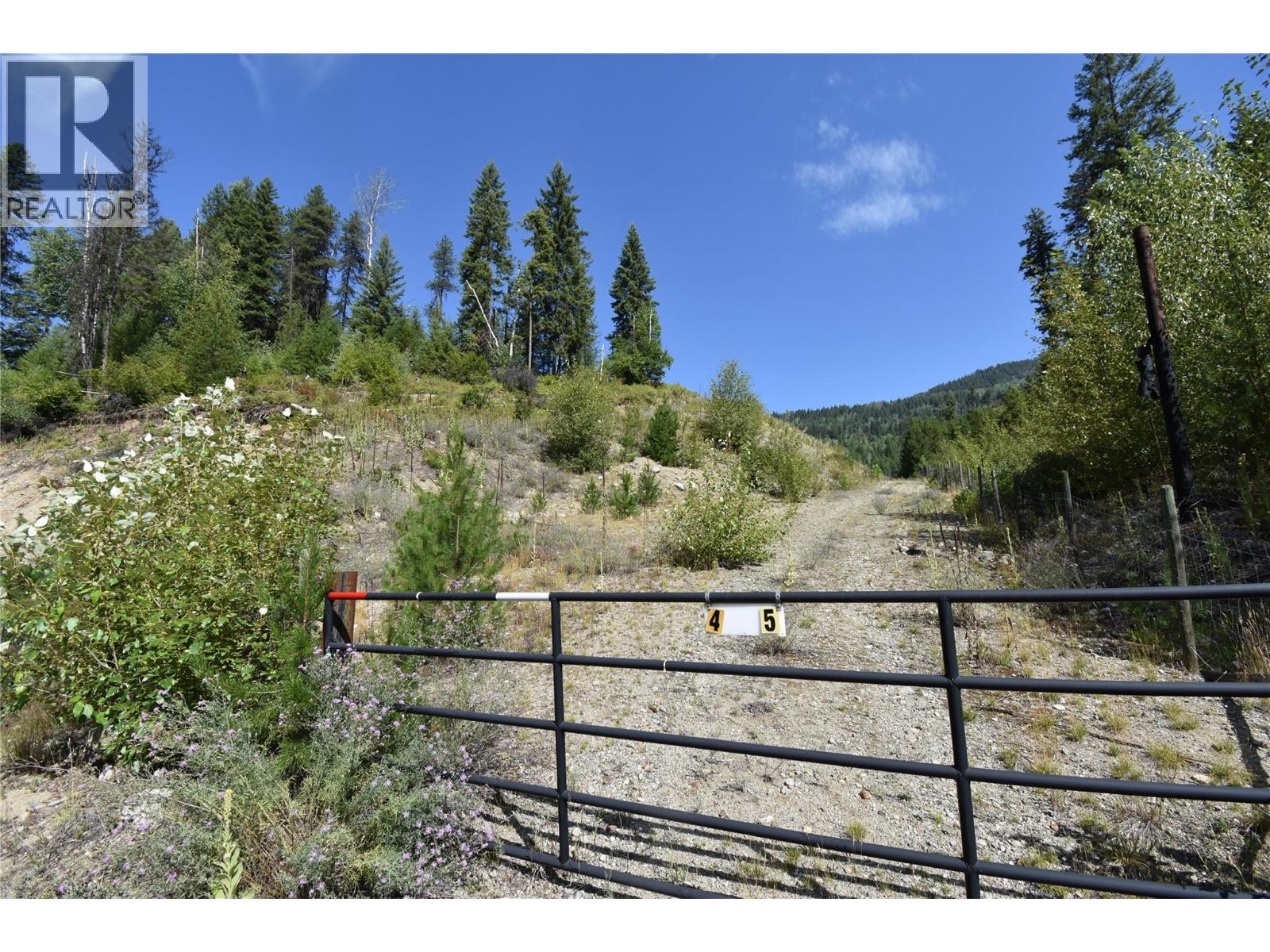 4125 ROSS SPUR ROAD - 11