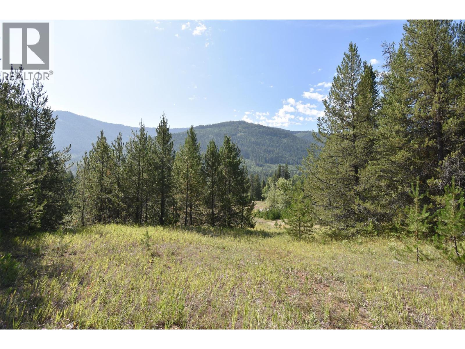 4125 Ross Spur Road - Photo 5 of 11, Fruitvale, British Columbia