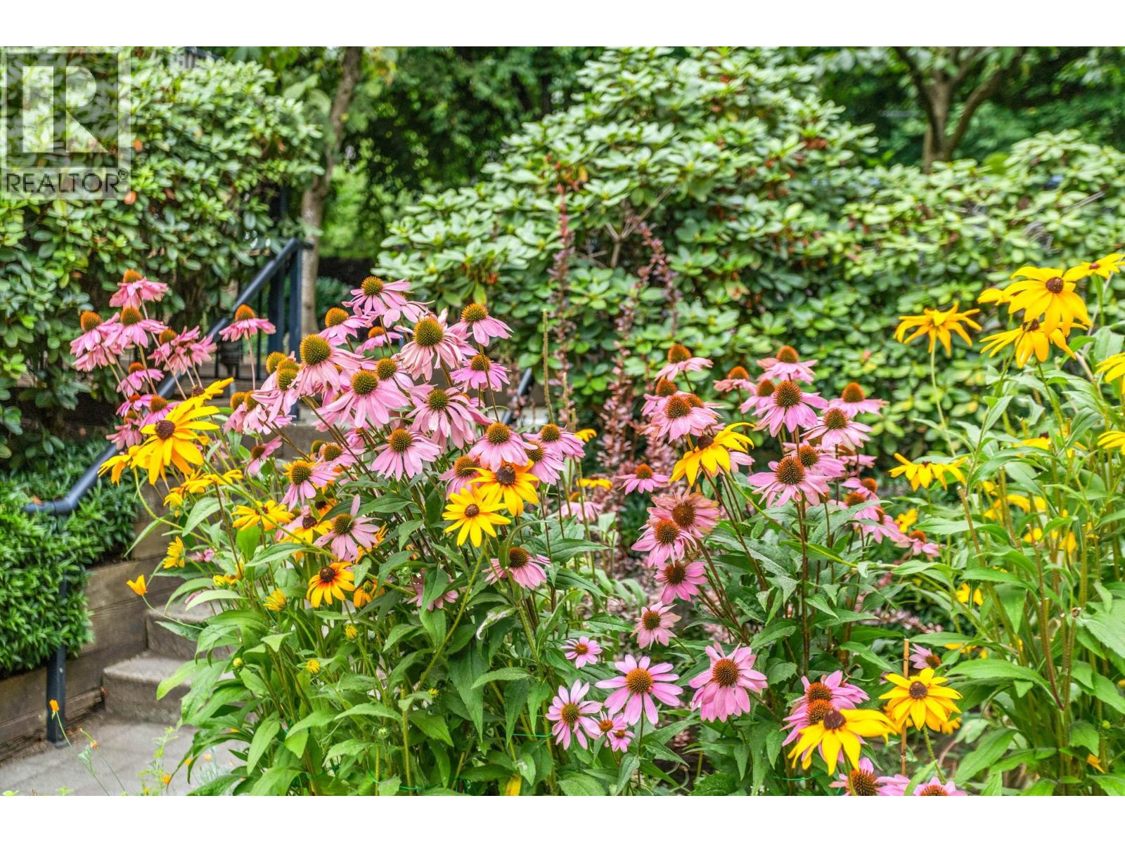 Photo 14 of 56 1561 Booth Avenue, Coquitlam BC