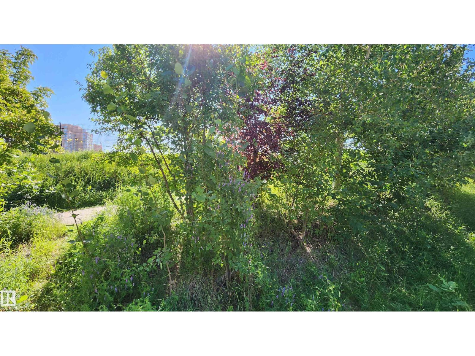 Photo 44 of 17 11115 27 Av Nw, Edmonton AB