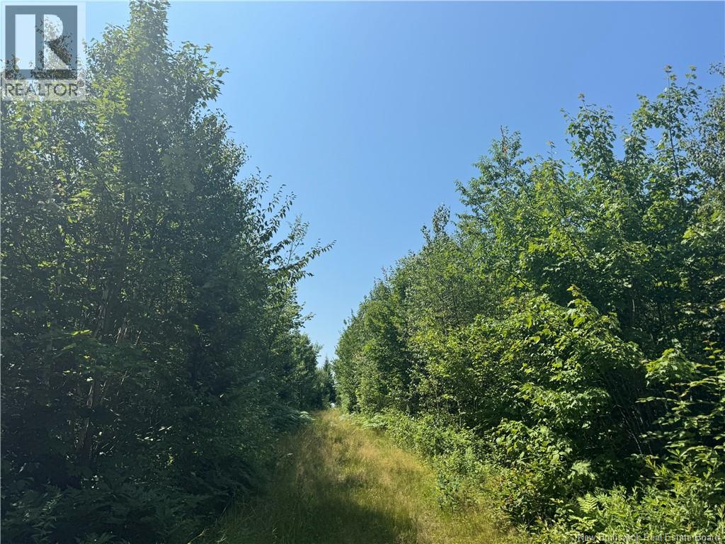 Photo 3 of Vacant Lot Ch Nw Aldouane River Rd, Saintcharles NB