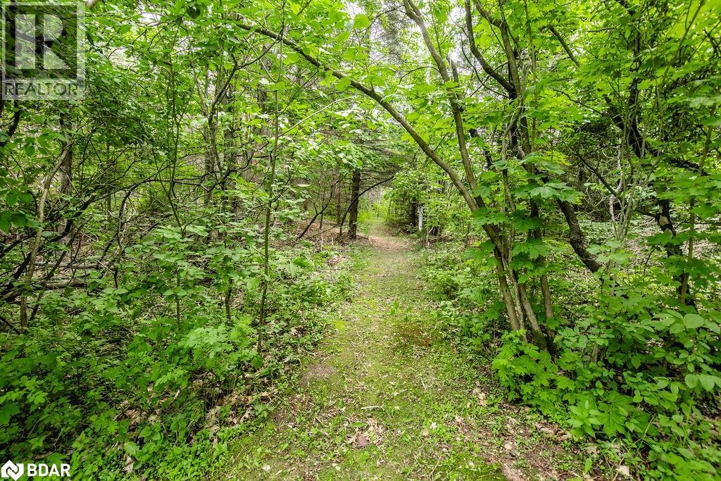 Photo 39 of 1175 Carson Road, Springwater ON