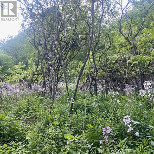 Photo 43 of 105 Catalina Drive, Toronto ON