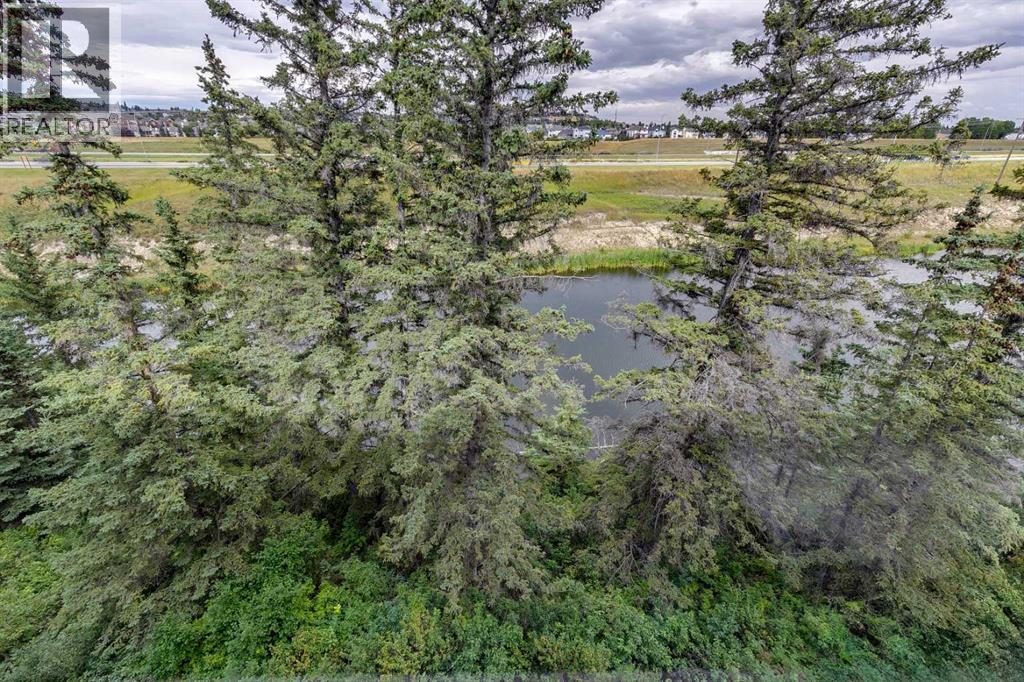 Single Family House for Sale in   Discovery Drive SW Discovery Ridge Calgary 