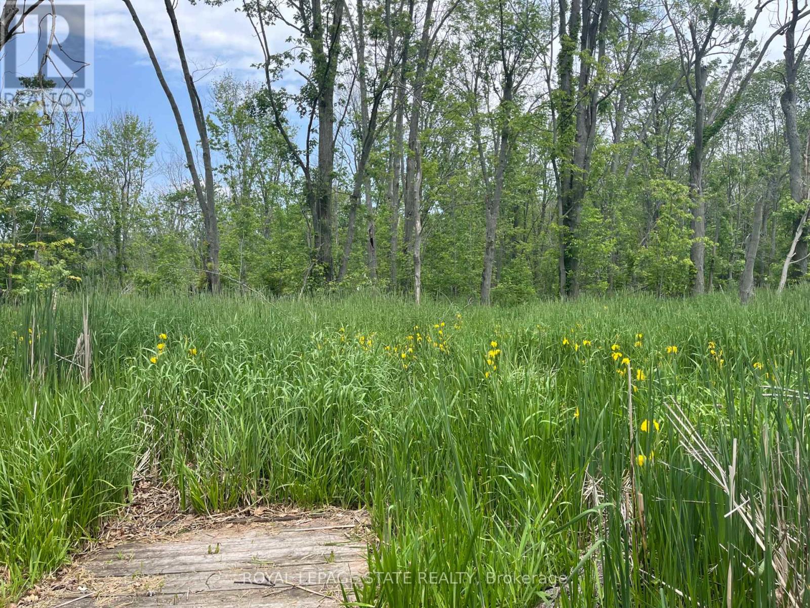 Photo 35 of 826 Sandy Bay Road, Haldimand ON