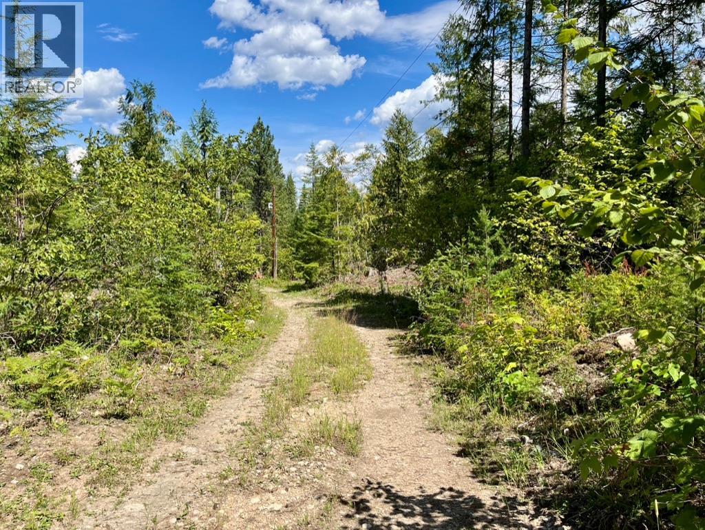 Photo 33 of 5940 Cedar Creek Road, Winlaw BC