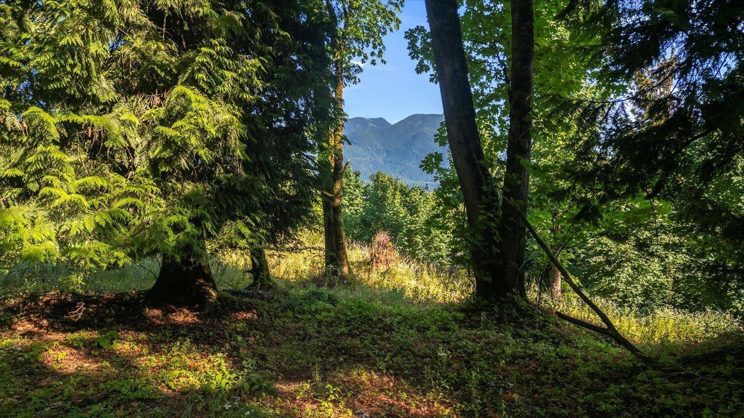 Photo 18 of 43590 Chilliwack Mountain Road Chilliwack Mountain, Chilliwack BC