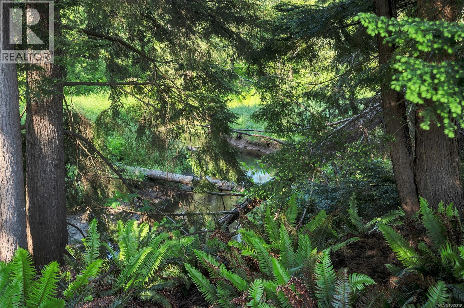 Photo 4 of 330 Cottonwood Dr, Campbell River BC