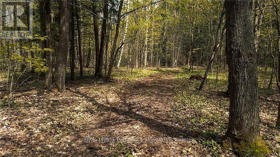 Photo 2 of 00 Old Mine Road, Admaston Bromley ON