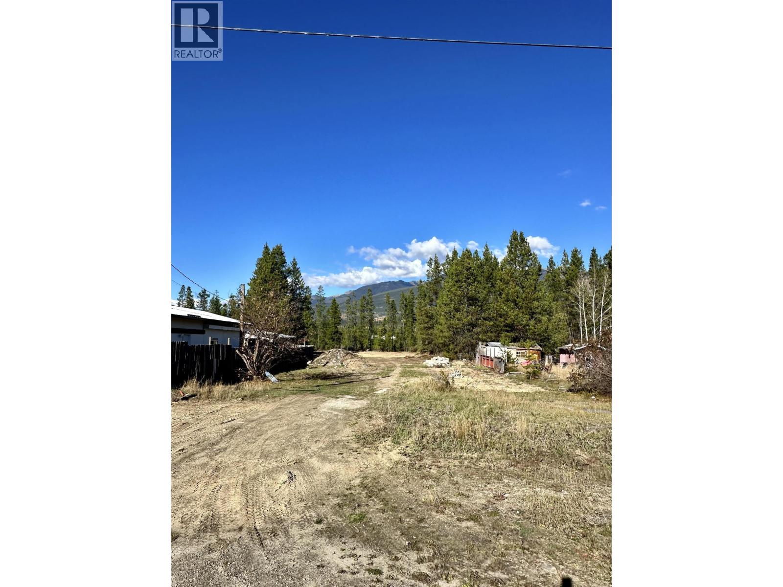 1036 14TH AVENUE, Valemount