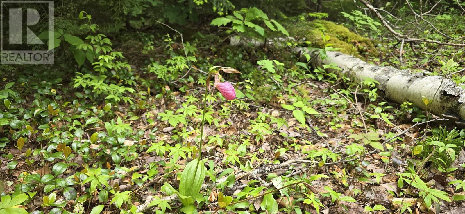 Property 11 of 35 of Lot Nathan Croft Road