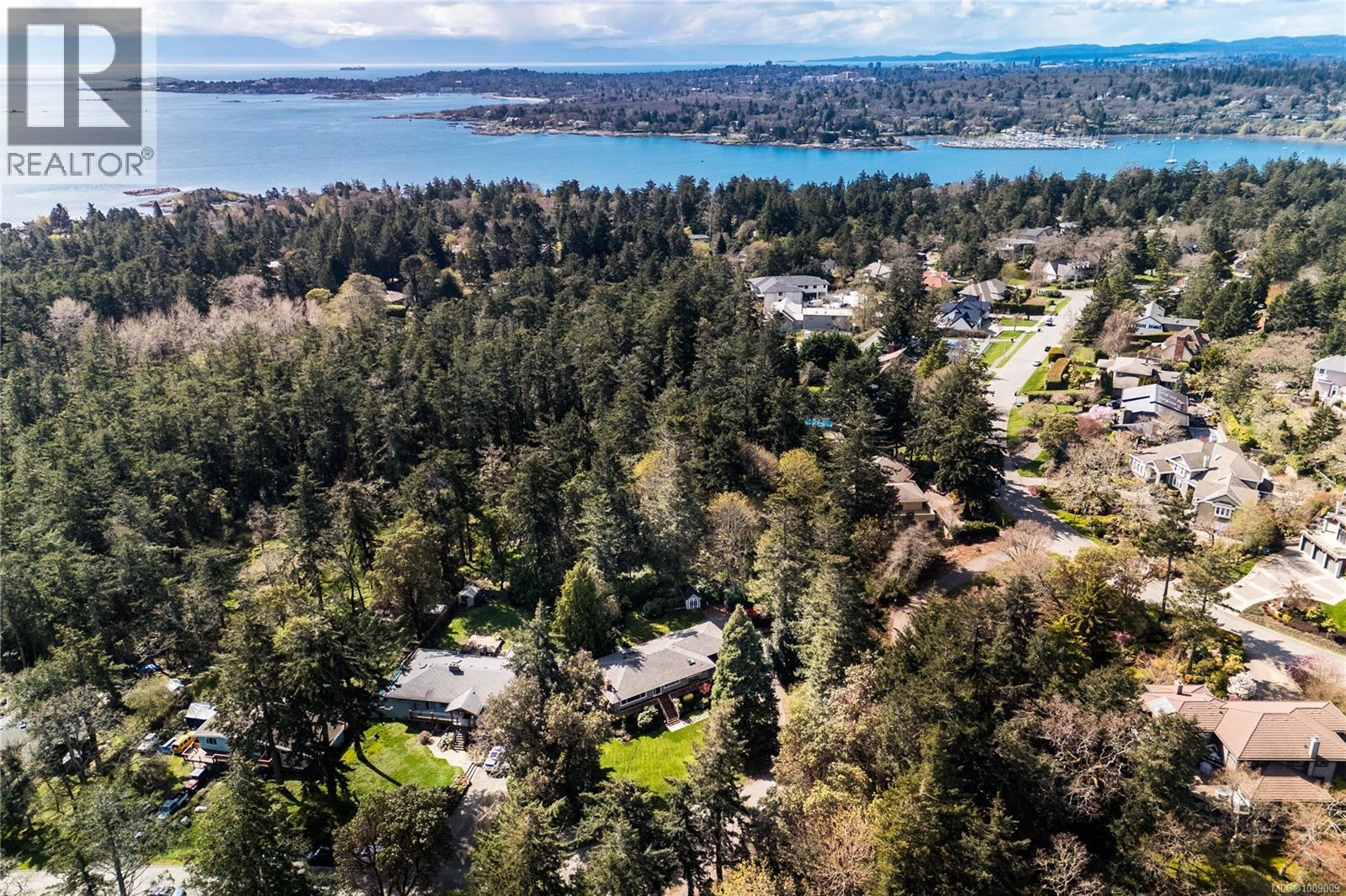 Photo 50 of 2879 Phyllis St, Saanich BC