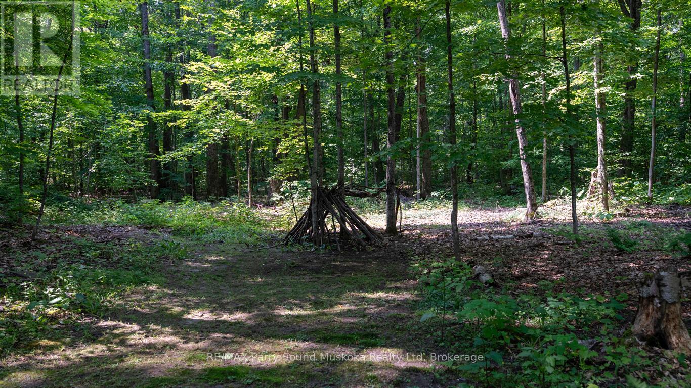 Photo 44 of 20 Sandy Plains Road, Seguin ON