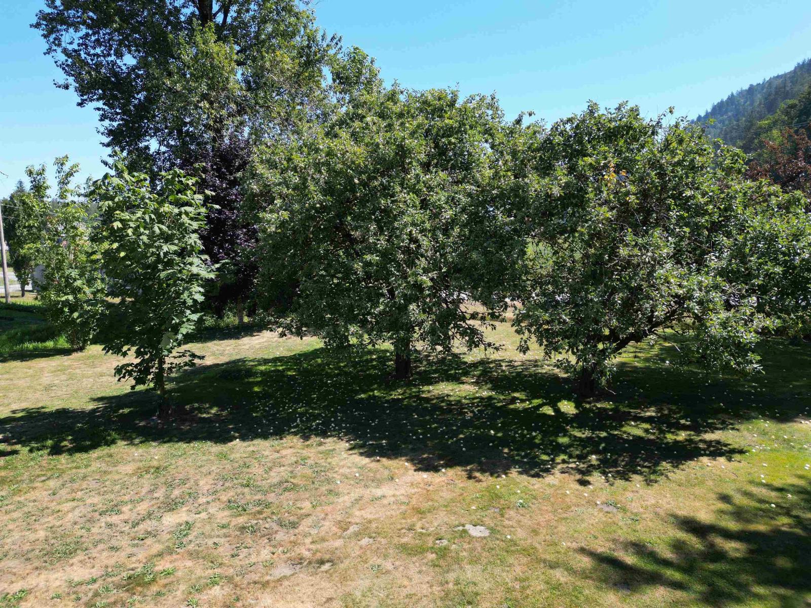 4843 GIESBRECHT ROAD, Yarrow, Yarrow