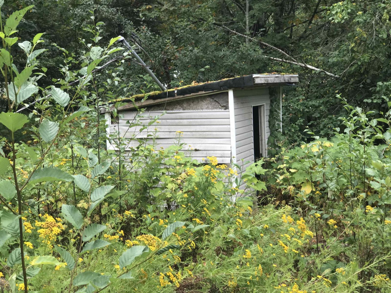 House in Hope - Image 21
