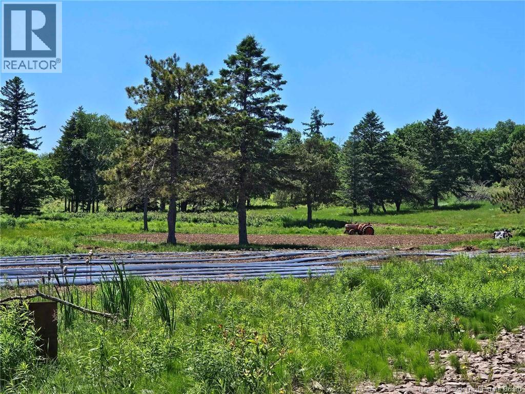 Photo 31 of 5925 Route 10, Hardwood Ridge NB