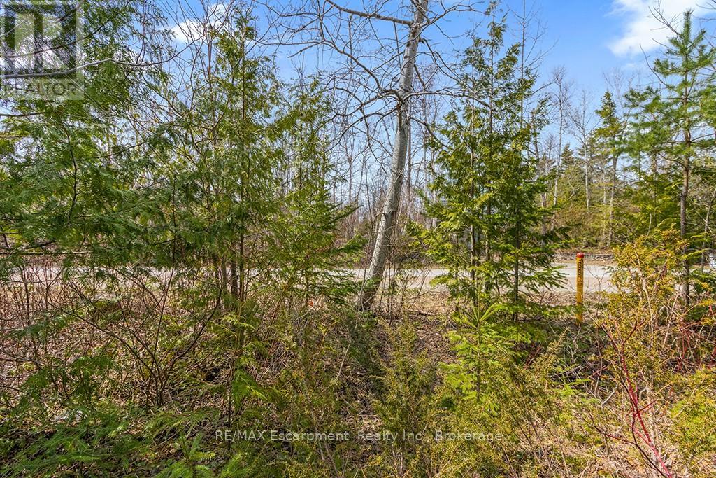 Photo 3 of 37 Emerson Avenue, South Bruce Peninsula ON