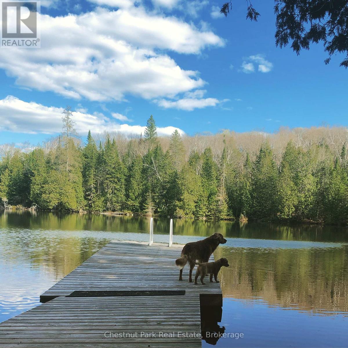 Photo 43 of 1030 Brooks Lake Road, Lake Of Bays ON