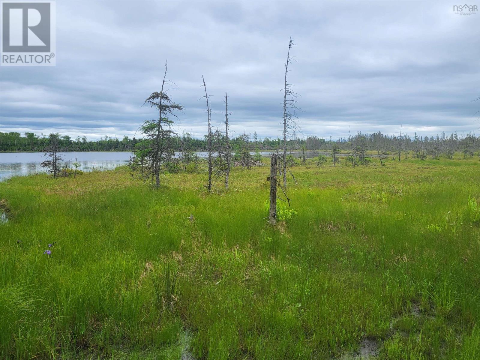 Property 11 of 32 of 7219 Kemptown