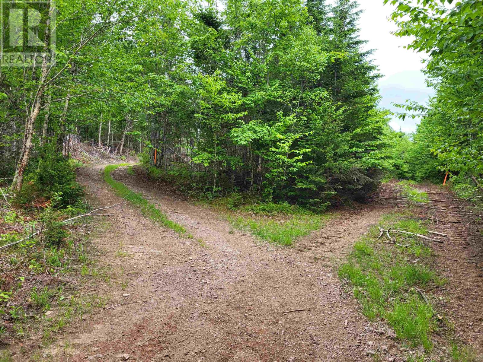 Property 2 of 32 of 7219 Kemptown