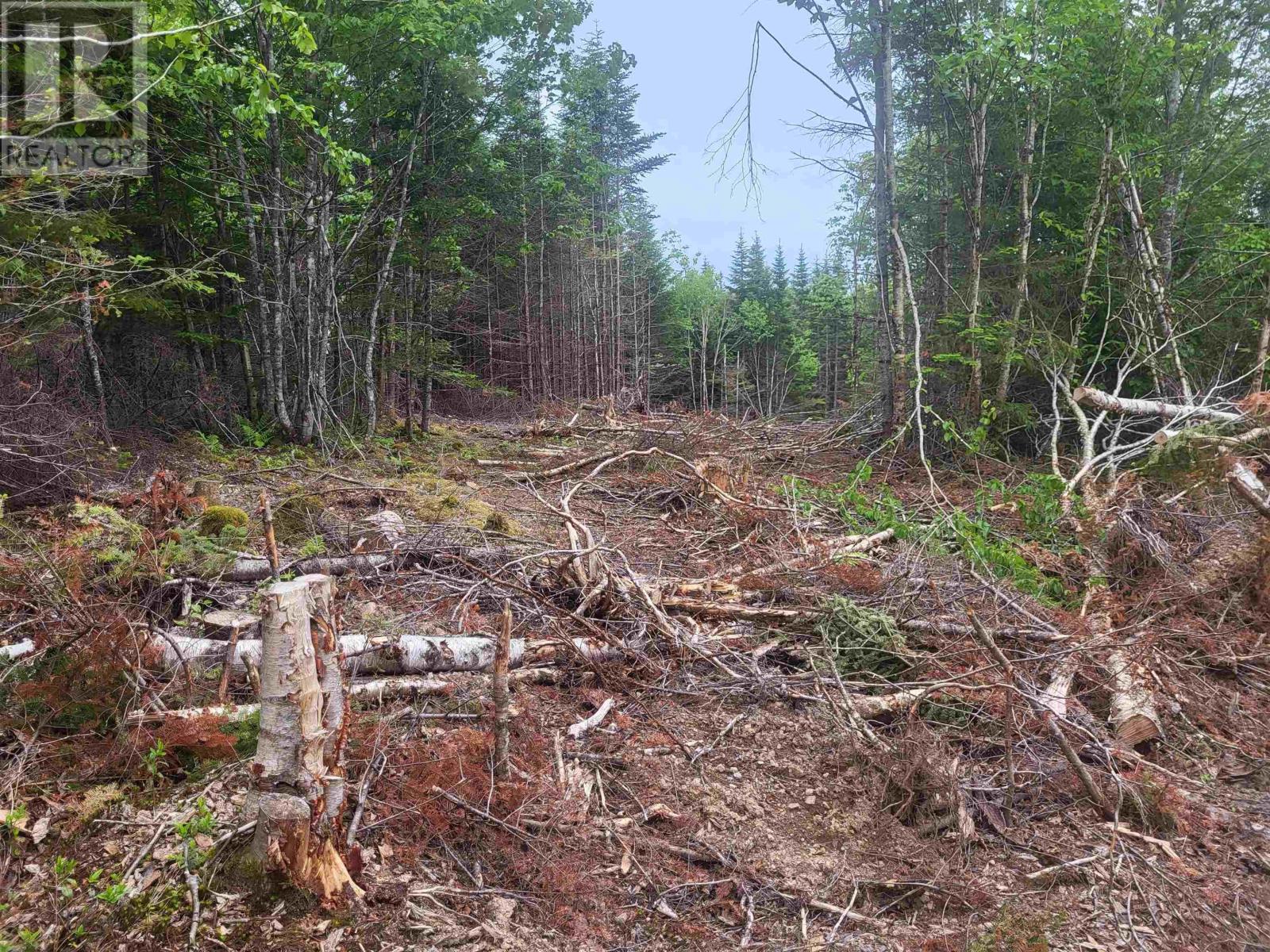 Property 27 of 32 of 7219 Kemptown